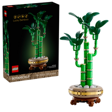 LEGO Botanicals 10344 Lucky Bamboo