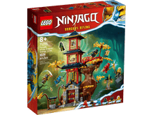 LEGO Ninjago 71795 Temple of the Dragon Energy Cores