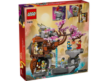 LEGO Ninjago 71819 Dragon Stone Shrine
