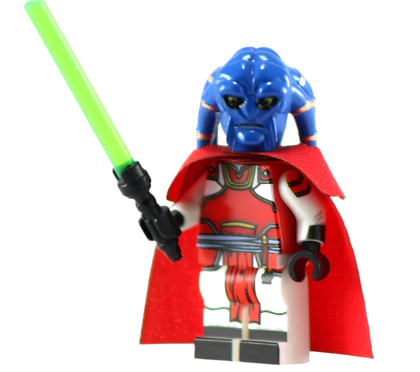 Master Feln - BigKidBrix Custom Printed Minifig
