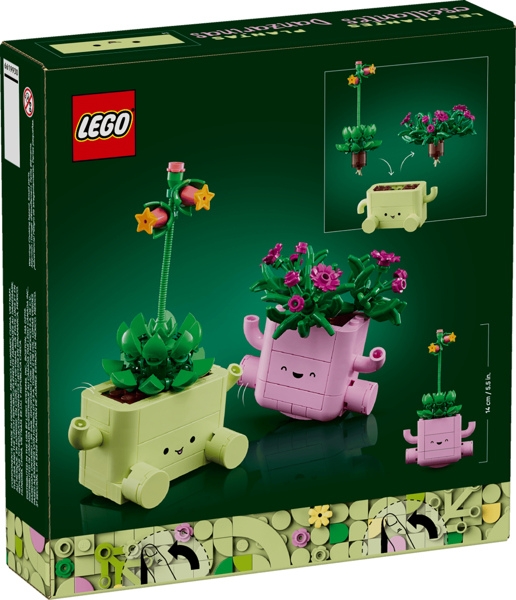 LEGO Botanicals 11506 Rocking Plants